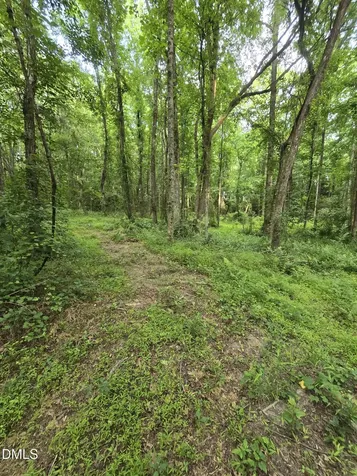 0 Honeycutt Road Willow Springs NC 27592