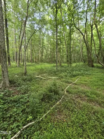 0 Honeycutt Road Willow Springs NC 27592
