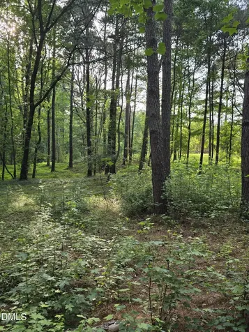 0 Honeycutt Road Willow Springs NC 27592