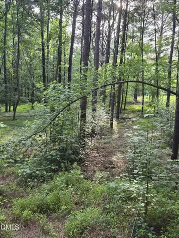 0 Honeycutt Road Willow Springs NC 27592