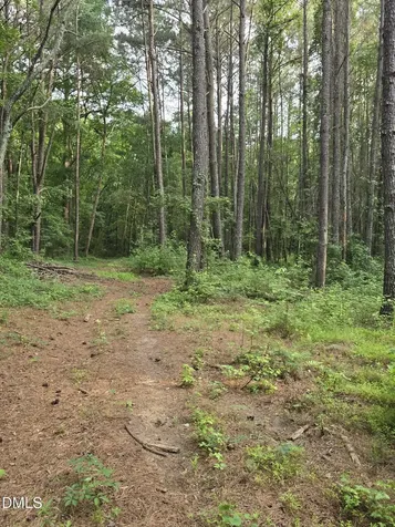 0 Honeycutt Road Willow Springs NC 27592
