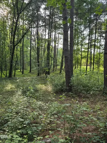 0 Honeycutt Road Willow Springs NC 27592