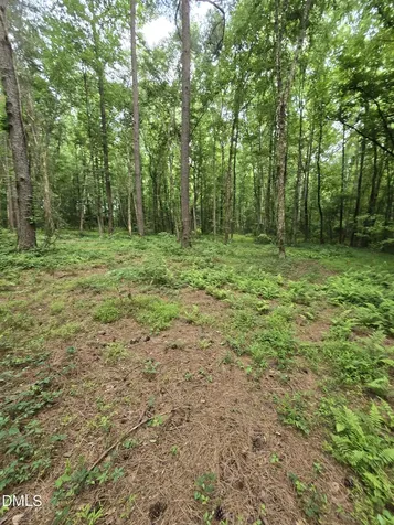 0 Honeycutt Road Willow Springs NC 27592