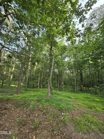 0 Honeycutt Road Willow Springs NC 27592