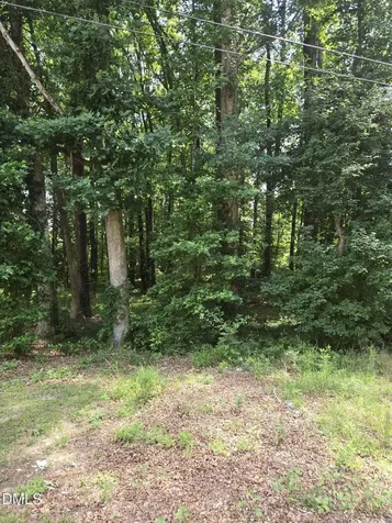 11121 N Carolina 42 Holly Springs NC 27540