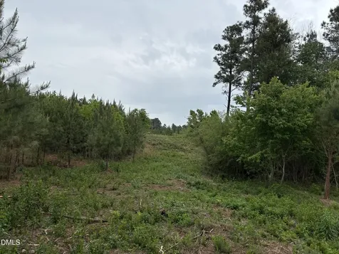 0 Burchette Lot 7 Road Manson NC 27553