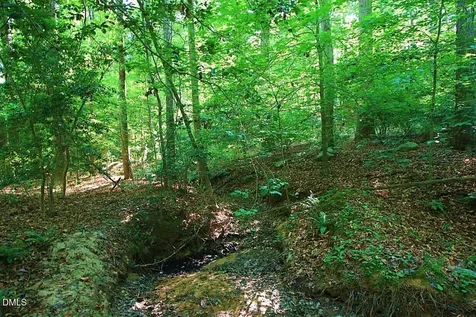 197 Oak Hill Road Pittsboro NC 27312