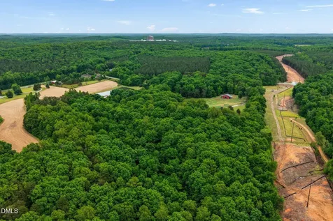 296 Cothran Hicks Road Rougemont NC 27572