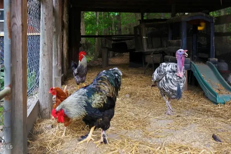 1656 Nc 42 Highway Moncure NC 27559