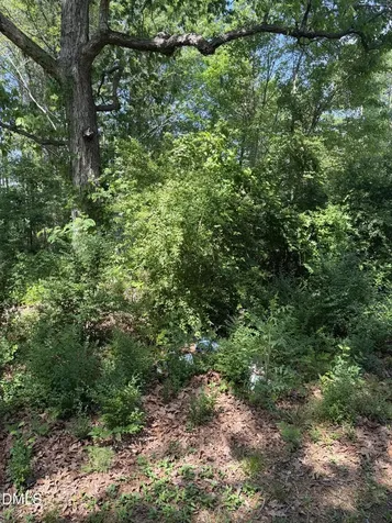 4425 N Carolina 903 Robersonville NC 27871