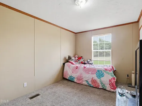 175 & 179 Emerson Lane Smithfield NC 27577