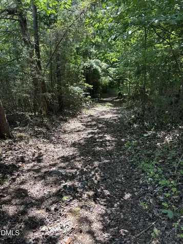 3168 Benny Lineberry Road Climax NC 27233