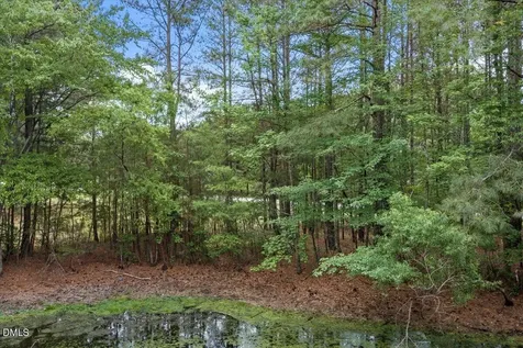 7129 Trappers Court Zebulon NC 27597