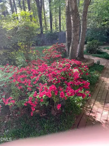 3412 Landor Road Raleigh NC 27609