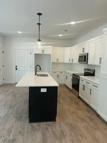 602 Wondertown Drive Erwin NC 28339