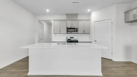 729 Sparkling Pear Drive Willow Springs NC 27592