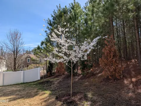 309 Napa Ridge Lane Morrisville NC 27560