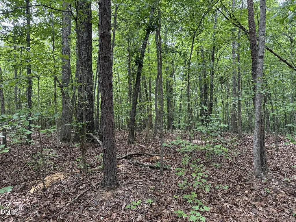 000 Herbert Faucette Road Bullock NC 27507