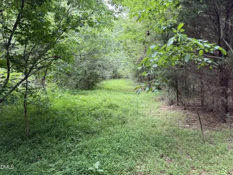 000 Herbert Faucette Road Bullock NC 27507