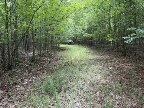 000 Herbert Faucette Road Bullock NC 27507