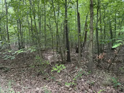 000 Herbert Faucette Road Bullock NC 27507