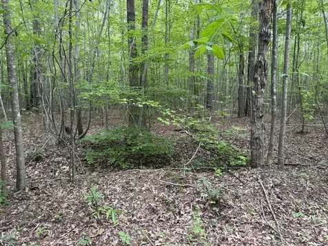 000 Herbert Faucette Road Bullock NC 27507