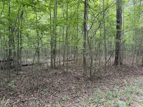 000 Herbert Faucette Road Bullock NC 27507