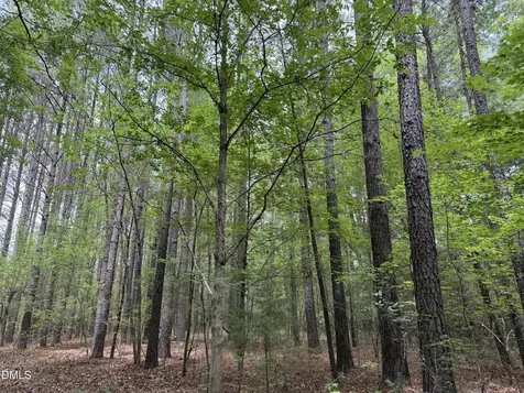 000 Herbert Faucette Road Bullock NC 27507