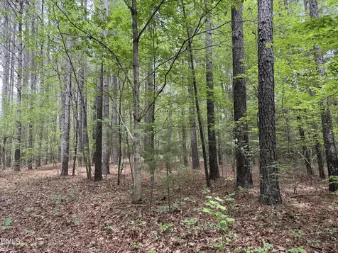 000 Herbert Faucette Road Bullock NC 27507
