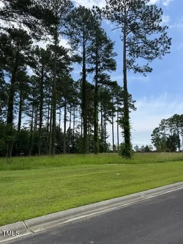 40 Currituck Circle Oriental NC 28571