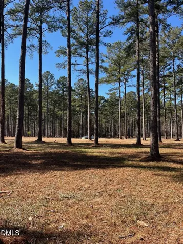 23 Baldhead Island Court S Oriental NC 28571