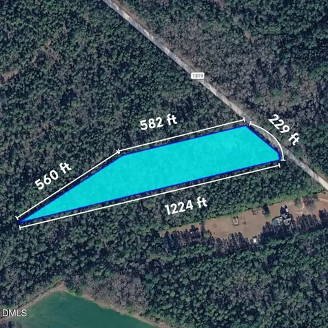 0 Pelham Road Watha NC 28478
