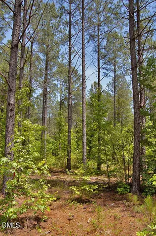 E G F Ball Road Louisburg NC 27549