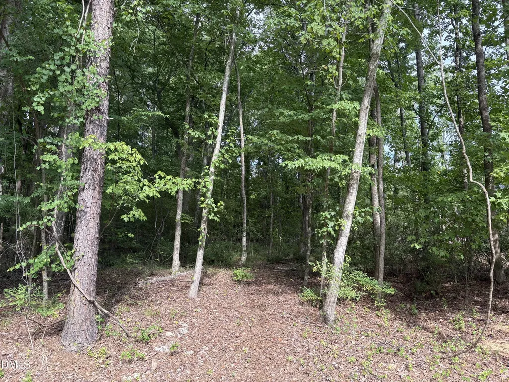 134 Mohawk Drive Louisburg NC 27549