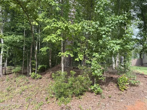 134 Mohawk Drive Louisburg NC 27549
