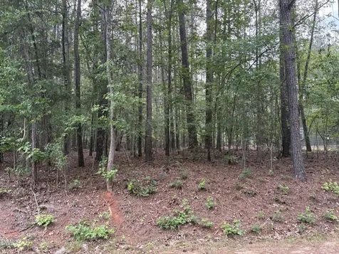 147 Sequoia Drive Louisburg NC 27549
