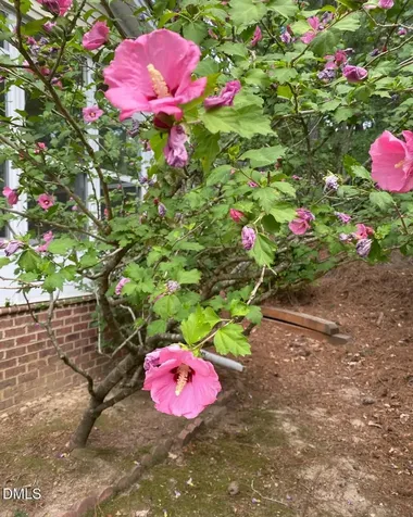 438 Crossvine Close Pittsboro NC 27312