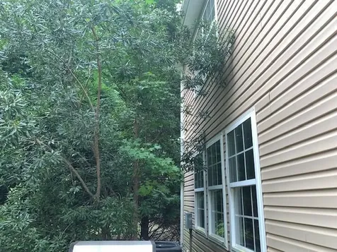 204 Darbytown Place Cary NC 27513