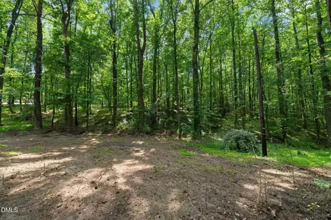 1608 Spring Hill Road Spring Hope NC 27882