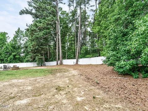 250 Carsons Creek Trail Wendell NC 27591