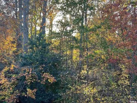 10216 San Remo Place Wake Forest NC 27587
