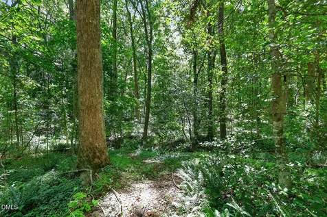 0 Us 401 Highway S Louisburg NC 27549