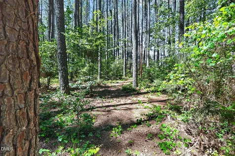 0 Us 401 Highway S Louisburg NC 27549