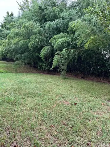 2017 Remington Oaks Circle Cary NC 27519
