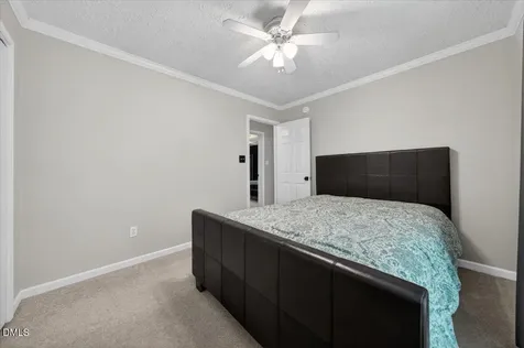 6700 Cane Creek Drive Efland NC 27243