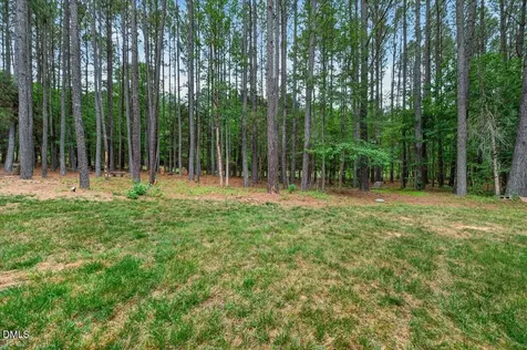 6700 Cane Creek Drive Efland NC 27243