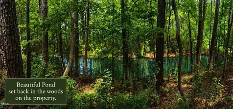 105 Roe Lane Clayton NC 27527