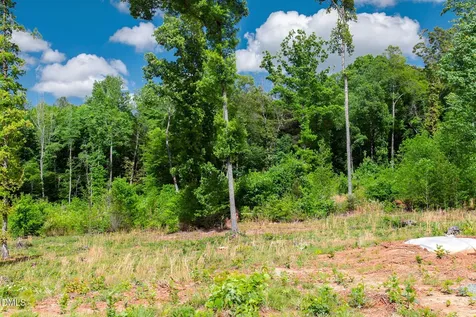 10 Conner Ridge Road Efland NC 27243