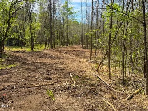 00 Pentecost Road Cedar Grove NC 27231