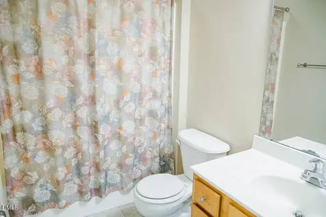 62 Red Berry Holly Lane Hurdle Mills NC 27541